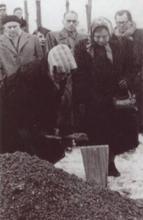 cendres d'auschwitz mere de danielle casanova